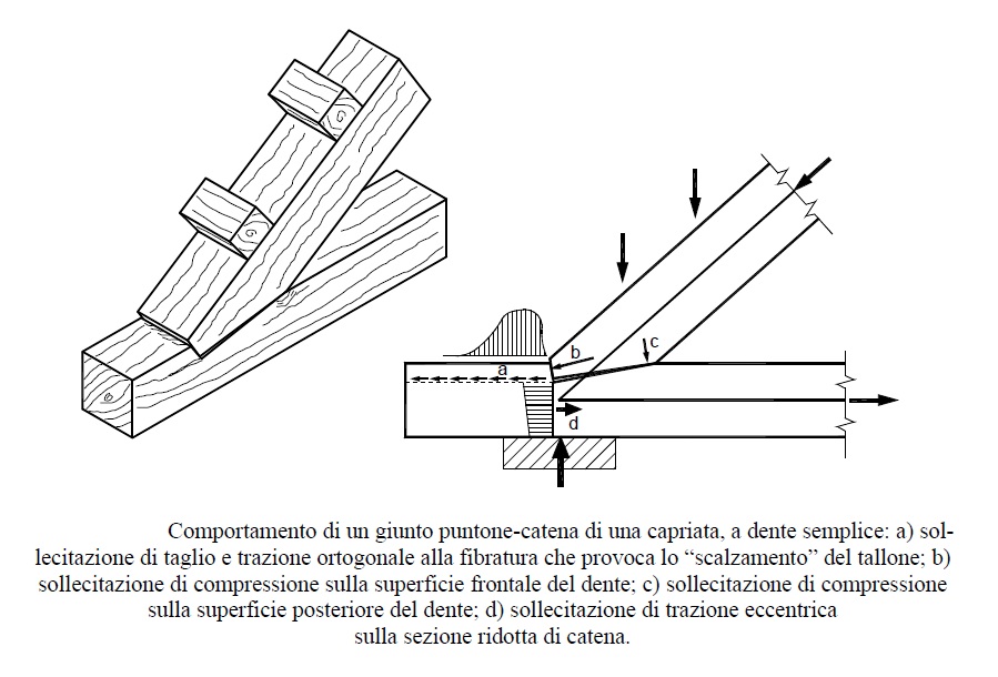 nodo_puntone_-_catena_01.jpg